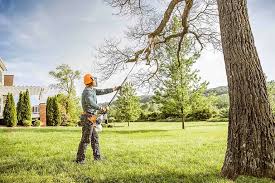 Lawn Maintenance Plans in Thomasville, AL