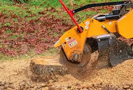 Grass Overseeding in Thomasville, AL